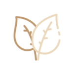 Lotus icon